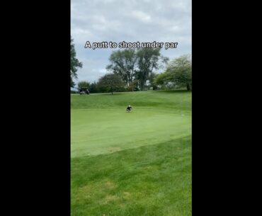 Hate to see it #golf  #shorts #golftiktok