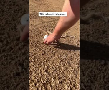 Golf rules | abnormal course conditions golf rule