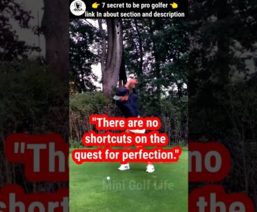 #golfgirl #shortsvideo #shortsfeed #golf #shorts