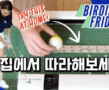 집에서 하는 가장 확실한 숏퍼팅 연습법 | 버디 프라이데이 (Ep. 2)