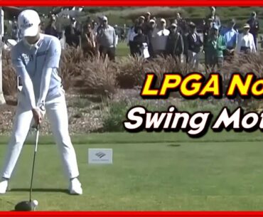 World No.1 "Jin Young Ko" Solid Driver-Iron Swing & Slow Motions from Various Angels