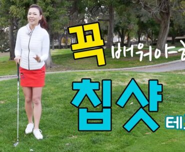 꼭 배워둬야하는 칩샷! | 명품스윙 에이미 조