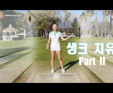 생크 완벽 치유 2 | 명품스윙 에이미 조