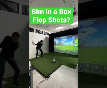 Foresight Sports Sim in a Box - Can you Hit Flop Shots? (Quick Review)