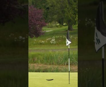 Island Time Golf Moment - Arbutus Ridge Golf Club | #shorts