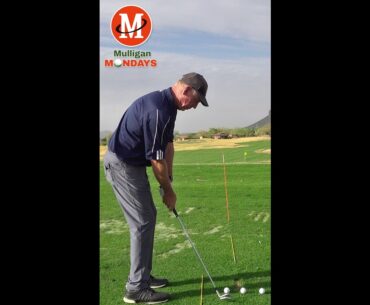Wedge Trajectories / Mulligan Mondays