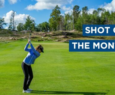 Shot of the Month | September