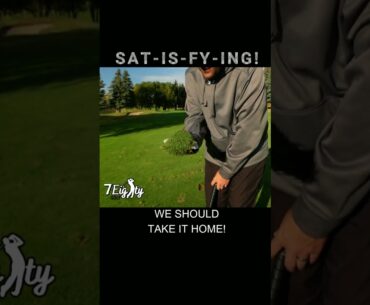 YOU KNOW IT'S A GREAT GOLF SHOT WHEN...... #golfshorts #shorts #golf
