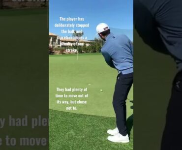 Deliberately Stopping Moving Ball - Golf Rules Explained