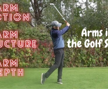 Arm Motion in the Golf Swing