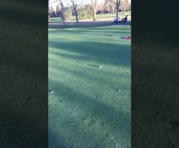 Satisfying putt #satisfying #golf