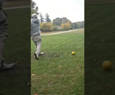 Sandwich off the TEE bOX