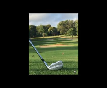 stinger golf shot #golf  #shorts #golftiktok