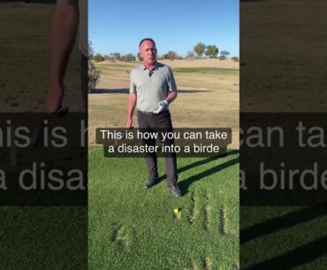 How to Easily Navigate Out of a Divot #shorts #youtubegolf #golfshort #golf