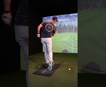 Golf Swing BASICS iron swing edition