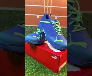 Puma Cricket Spikes | Cricket Shoes | Crickstore
