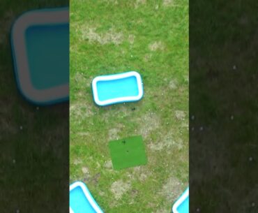 WORLD RECORD Golf Putt