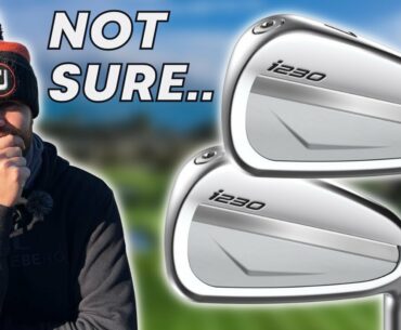 WHAT I REALLY THINK OF THE PING i230 IRONS....