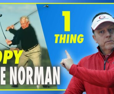 Model Moe Norman's Golf Swing  in 2023