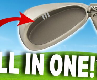 This Adjustable ALL IN ONE Golf Club is ALMOST Perfect??