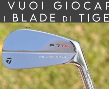 VUOI GIOCARE I FERRI DI TIGER? "Si impara meglio con un bastone professionale?" - Video 737
