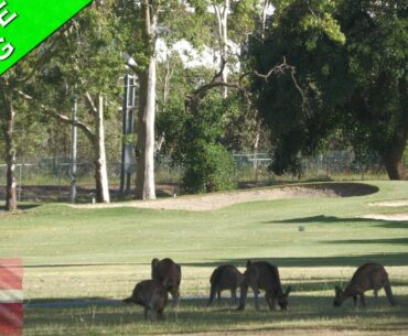 GAILES GOLF COURSE VLOG with MARCUS FROM DENMARK Part 6