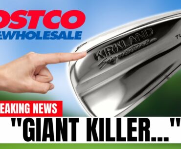 COSTCO HAVE RELEASED AN IRON TO KILL THE TAYLORMADE P790