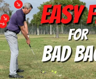 Most Back friendly Golf Swing