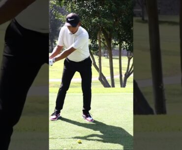 STOP TOPPING WOODS! #shorts