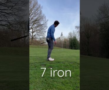 Options around the Green? #golf #shortgame #tigerchip #golfpro #wintergolf #golftips