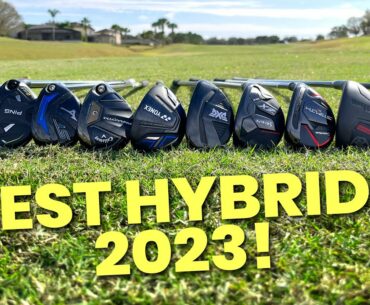 BEST HYBRIDS 2023!