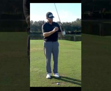 The Perfect Golf Grip Part 1 #shorts