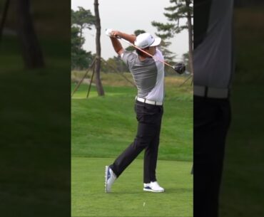 PGA "SungJae Im" Driver-Iron Slow Motion Swings
