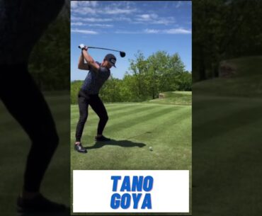 #13 Tano Goya Swing #shorts #golf #golfswing #golfpro #golfer #foryoupage #swing #pgatour