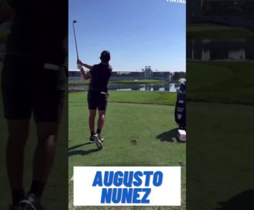 #9  Augusto Nuñez Swing #shorts # #golf #golfswing #foryoupage @TPGArgentino @PGATOUR