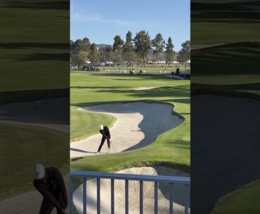 Tony Finau bunker shot