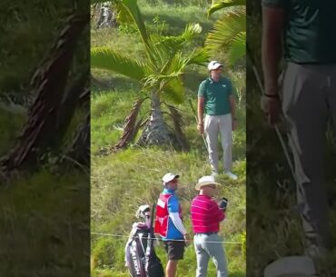Pro golfer hits ball stuck in TREE! 😳