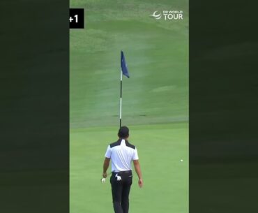 Sublime touch around the greens from Rafa Cabrera Bello #golf #golfshorts #golfswing
