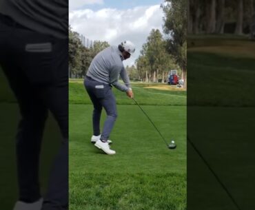 Cameron Young Driver Golf Swing | 2023 Genesis Invitational | #zachriddlegolf #golf #golfer #pgatour