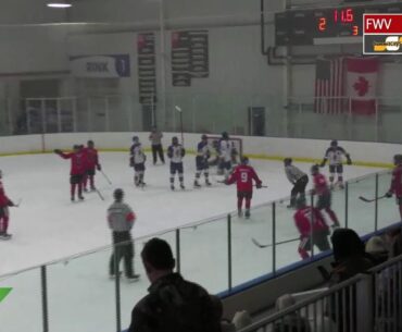 Homestead vs Vipers | Fort Wayne Amateur Hockey | SummitCitySports