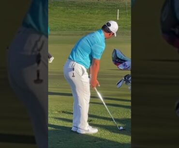 Tom Kim chipping practice