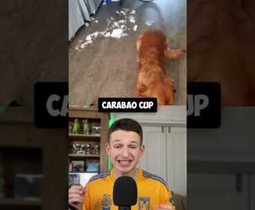 This Newcastle Fan is RAGING 🤬🐶