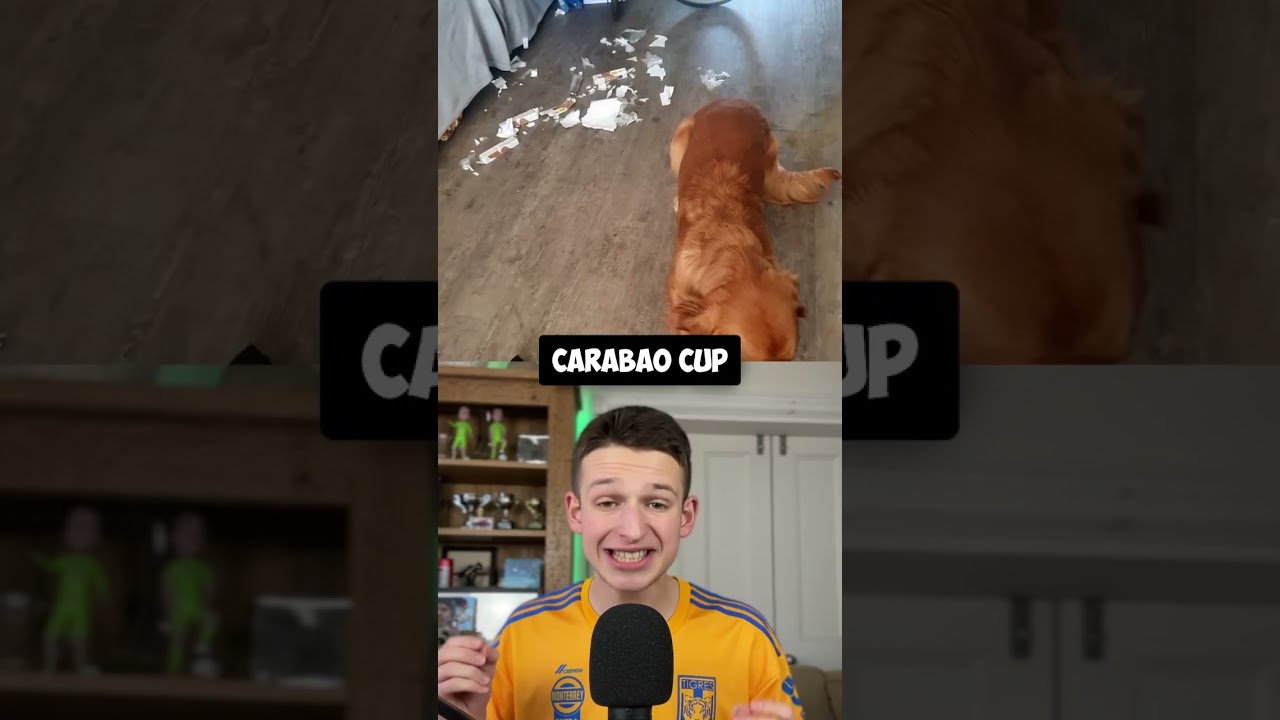 This Newcastle Fan is RAGING 🤬🐶 This Newcastle Fan is RAGING 🤬🐶