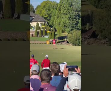 My Boy Cameron Young Almost Holed Out!🤯😳 #shortsfeed #youtube #golf #presidentscup #trending