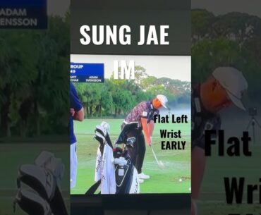 Sungjae IM early setting of the flat left wrist #kpga #pga #golfswing #golflesson #golf