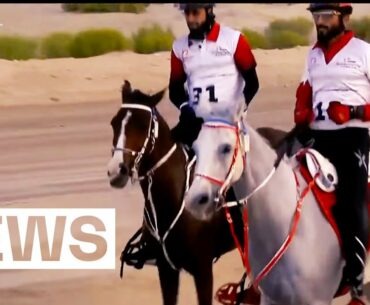 The Crown Prince of Bahrain 🤝 The new FEI Endurance World Champion!