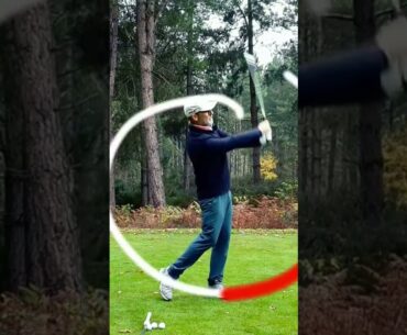 Swing Caddy Golf Swing Training Aid (Click it Right)