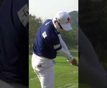 김효주의 경기 시작 전 연습부터 첫 티샷까지! #shorts #lpga #golf #golfswing #골프 #골프스윙 #김효주