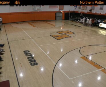 D9 Basketball Playoffs: Port Allegany vs. Northern Potter