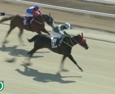 (Busan) 2023.02.26 R2 Class 6 (1600M) Special Weight A